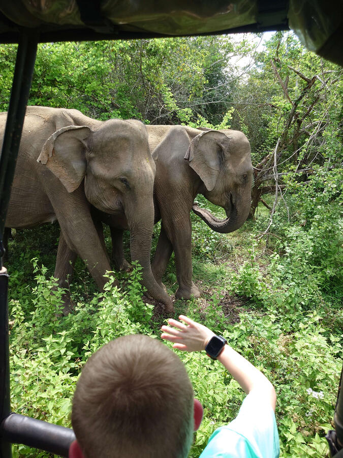 Udawalawe National Park